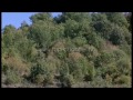 Një histori e rrallë në malet e Shqipërisë - Top Channel Albania - News - Lajme