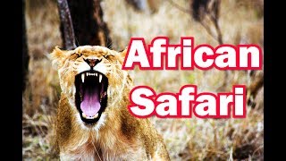 African Safari Tour Guide