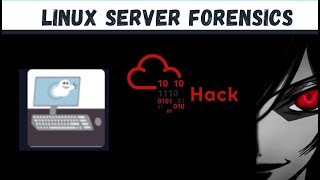 TryHackMe ] Linux Server Forensics | Walkthrough Video