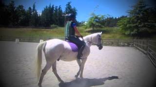 Summer Horseback Riding