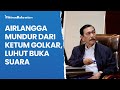 Airlangga Hartarto Mundur dari Ketum Golkar, Luhut Binsar Pandjaitan Buka Suara: Hak Beliau