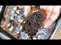 chocolate brownie best fudge brownie recipe brownie recipe without oven how to make brownie