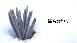 【キリストの足跡】035_聖書の神はすべての人の神？