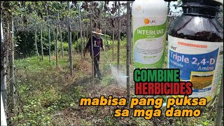 Ano ang magagandang COMBINATION na herbicide pang puksa sa mga DAMO ?.