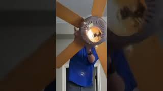 (Most Popular Short) Ceiling Fan Fail