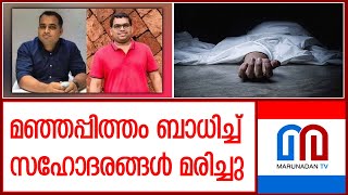 തളിപ്പറമ്പില്‍ മഞ്ഞപ്പിത്തം ബാധിച്ച് സഹോദരങ്ങള്‍ മരിച്ചു | Kannur