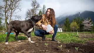 Garden With Me: Frost-Hardy Plants, Fruit Trees, Herbs, and Protecting From Frost