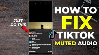 How To Fix A Muted Video On TikTok | How to Fix Tiktok Sound Removed