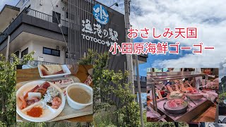 漁港の駅 TOTOCO小田原【おさしみ天国小田原海鮮ゴーゴー】