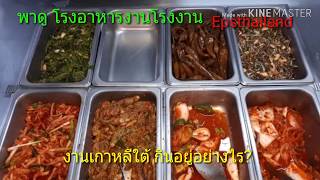 กินอยู่อย่างไร?พาชมโรงอาหารงานโรงงานเกาหลี