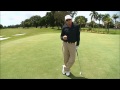 lag putt like a pro putting tips from jim mclean