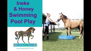 Ineke and Honey - Swimming Pool Play