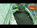 ഈ രഹസ്യവളം അറിയാതെ പോവല്ലേ fertilizer for plants malayalam rose fertilizer prs kitchen nursery