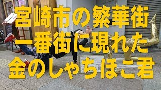 宮崎市の繁華街・一番街に現れた\