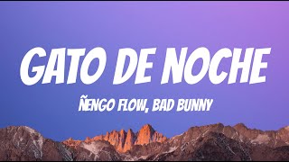 Ñengo Flow x Bad Bunny - Gato de Noche [ Lyrics Video ]