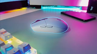 Logitech G305 Lightspeed Wireless Gaming Mouse (6 Month Review)