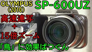 【ヤフオク】ジャンク SP-600UZ 動作検証・作例 ただの高倍率じゃない高速連写が超優秀 オマケで付いてきたOLYMPUS新ウルトラズーム