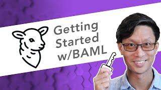 Get Started with BAML