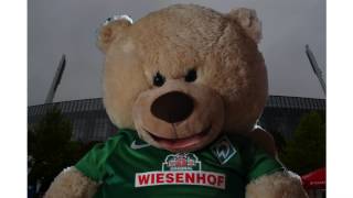 Werder Bär - Das letzte Spiel in Leverkusen...2013/2014