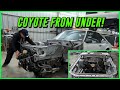 Gen3 Coyote & 10R80 Install in 1993 Foxbody Mustang