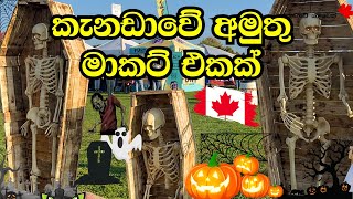 කැනඩාවේ night market එකක් දැකලා තියේද? | කැනඩාවේ අපි | Canada Sinhala Vlog @canadaweyaluwek