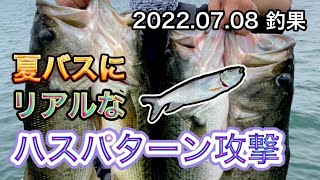 【バス釣り】ケタバスを使ってリアルなハスパターンをやってみたらヤバかった「ブラックバス」「琵琶湖」「餌釣り」