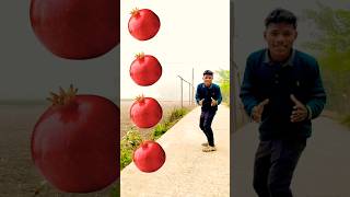 Rounding pomegranates to Grapes, Mango, lichi \u0026 Watermelon - Fruits names magic video