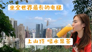 香港生活 | 全球最長的扶手電梯上山頂飲水果茶