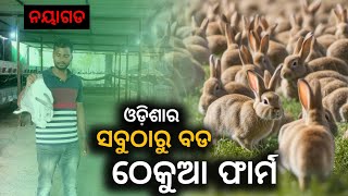 odisha biggest rabbit farm #odiavlog