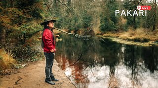 Pakari - Andean dreams flute music 🏞️