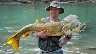 Nepal fishing before earthquake | Record Golden Mahseer (137cm) | Rafting!