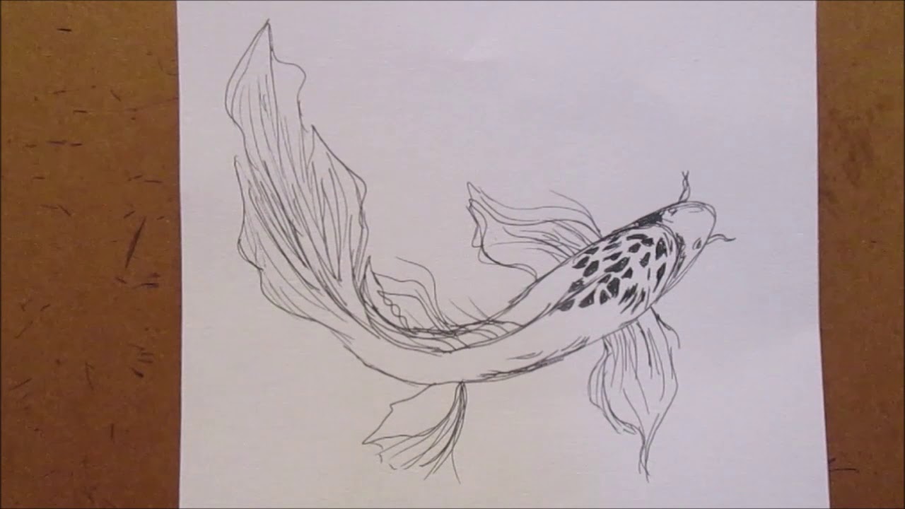 Drawing A Koi Fish With Ink (time-lapse) - YouTube