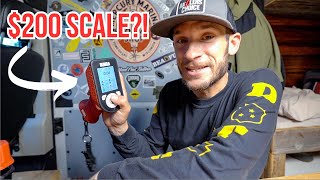 The TRUTH About the $200 Bubba Scale....