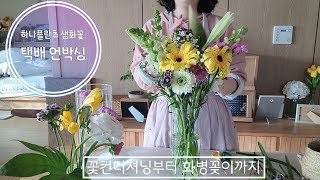 [꽃리뷰] 하나플란츠 꽃농장 생화택배 언박싱,컨디셔닝후 화병꽂이