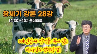 ※ 박홍기 박사의 의미분석에 의한 성경강론 시리즈 📖 창세기  28강   ■sub.인간의 상식을 뛰어넘는 하나님의 섭리방법!