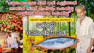 പാലാക്കാരുടെ മീൻ കറി കൂട്ടിയാൽ നാവിൽ നിന്ന് രുചിയും പോകില്ല |കയ്യിലെ മണവും പോകില്ല |KERA FISH CURRY