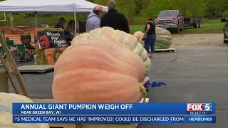 1,600-Pound Pumpkin Wins At Wisconsin Giant Pumpkin Weigh-Off