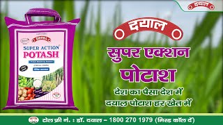 Dayal Super Action Potash II देश का पोटाश II Bio Potash - Biofertlizer