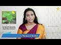 மூலம் மலசிக்கல் குணமாக துத்தி கீரை piles diet in tamil constipation thuthi keerai dr.mythili