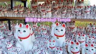 Go to Gotokuji Temple to see the lucky cat.