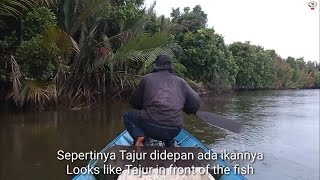 Install Tajur in the Tanjung Pemerung area, live mullet bait