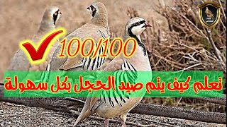 تعلم كيف يتم صيد طائر الحجل بكل سهولة رغم صعوبة صيده وملاحقته بسبب ذكائه وتخفيه بين الأحجار