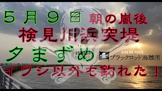 【釣り編】人気の釣り場【検見川浜突堤】5/9嵐の後の夕まずめ