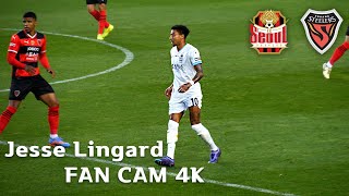 [4K60P]240525 Jesse Lingard 제시 린가드 직캠 fancam K-League 포항VS서울