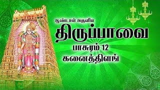 மனத்தில் உறுதி வேண்டும் - பாசுரம் -12 - கனைத்து இளம் கற்றெருமை.....!