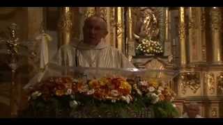 Filme Papa Francisco O Papa de Todos   Completo  Português