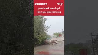 Biporjoy Cyclone: દ્વારકામાં બિપોરજોયનો કહેર: સરકારી હોસ્પિટલ પાસેનું વિશાળ વૃક્ષ પડી ગયું