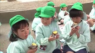 幼稚園で「焼き芋大会」　ホクホクの秋の味覚を楽しむ　大分