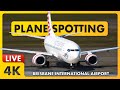 ✈️【4K LIVE + ATC】GOLDEN HOUR - Plane Spotting at BNE - Brisbane International Airport - Australia