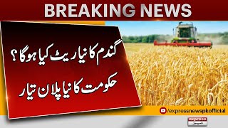 What Will Be the New Wheat Price? | Government's New Plan Revealed | Breaking News